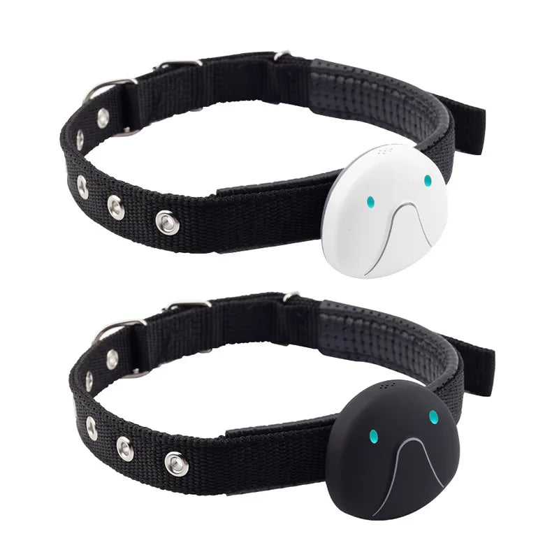 4G GPS & WiFi Pet Tracker Collar – Real-Time Location for Dogs & Cats
