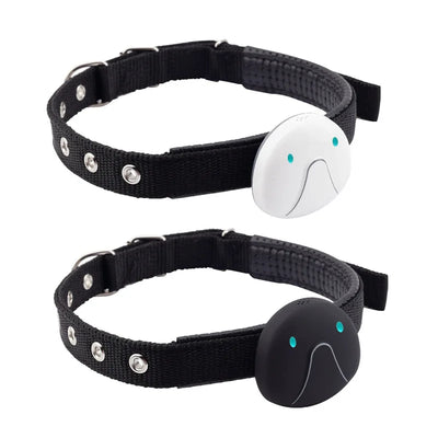 4G GPS & WiFi Pet Tracker Collar – Real-Time Location for Dogs & Cats