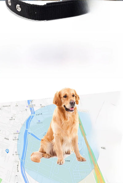 4G GPS & WiFi Pet Tracker Collar – Real-Time Location for Dogs & Cats