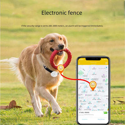 4G GPS & WiFi Pet Tracker Collar – Real-Time Location for Dogs & Cats