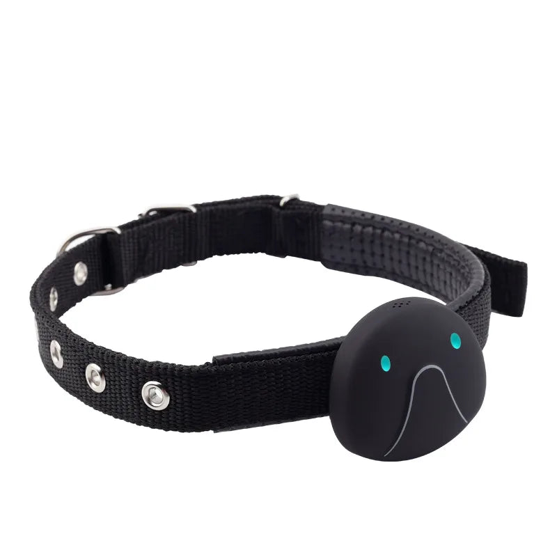 4G GPS & WiFi Pet Tracker Collar – Real-Time Location for Dogs & Cats