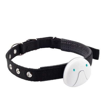 4G GPS & WiFi Pet Tracker Collar – Real-Time Location for Dogs & Cats