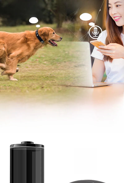4G GPS & WiFi Pet Tracker Collar – Real-Time Location for Dogs & Cats