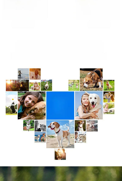 4G GPS & WiFi Pet Tracker Collar – Real-Time Location for Dogs & Cats