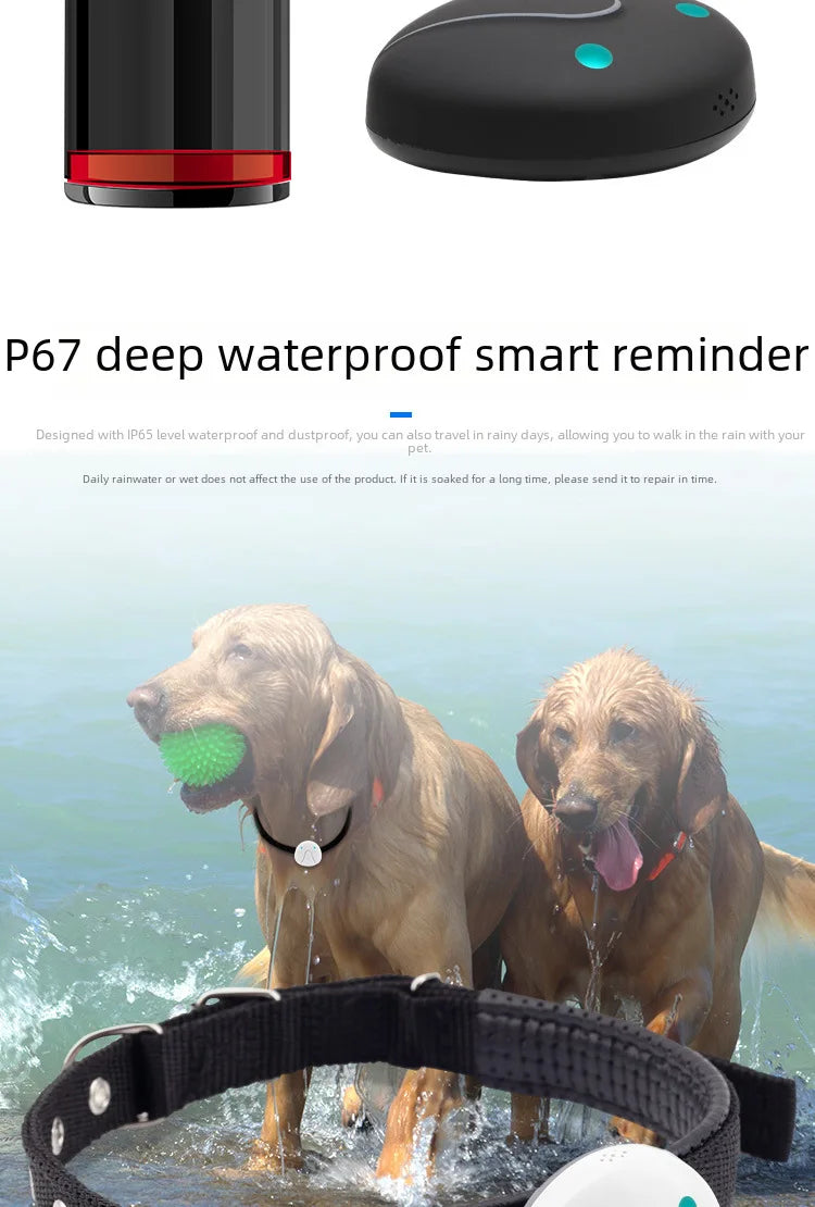 4G GPS & WiFi Pet Tracker Collar – Real-Time Location for Dogs & Cats