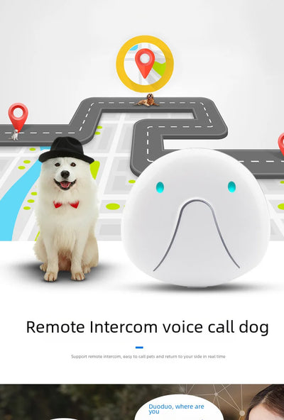 4G GPS & WiFi Pet Tracker Collar – Real-Time Location for Dogs & Cats