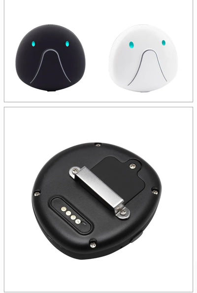 4G GPS & WiFi Pet Tracker Collar – Real-Time Location for Dogs & Cats