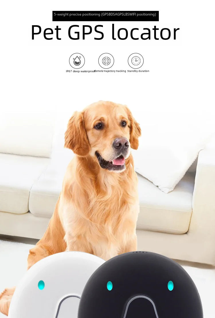 4G GPS & WiFi Pet Tracker Collar – Real-Time Location for Dogs & Cats