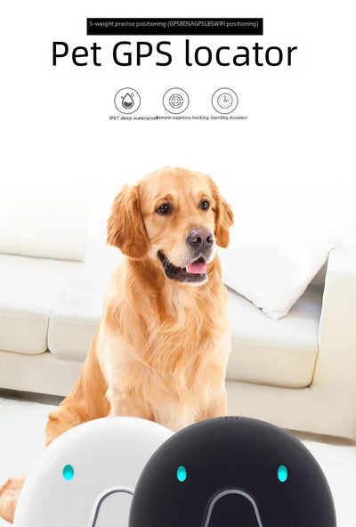 4G GPS & WiFi Pet Tracker Collar – Real-Time Location for Dogs & Cats