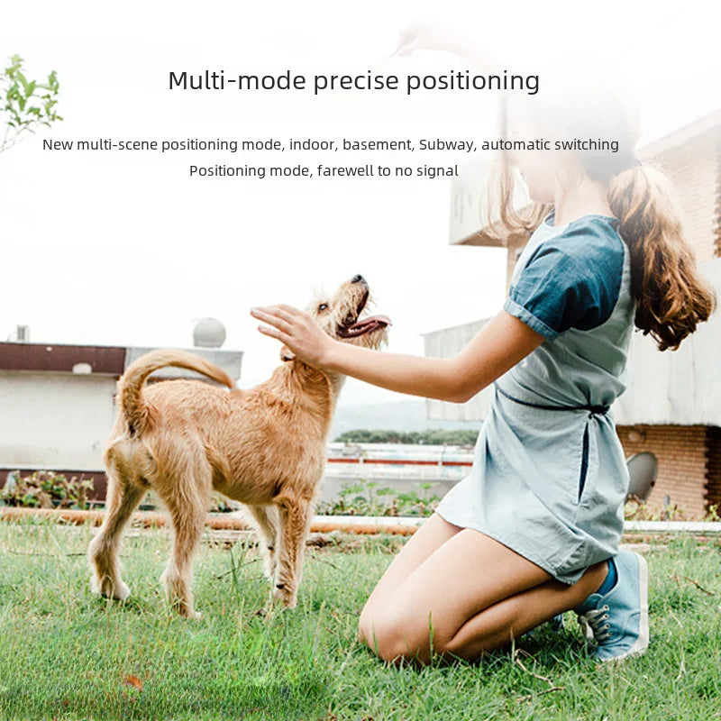 4G GPS & WiFi Pet Tracker Collar – Real-Time Location for Dogs & Cats