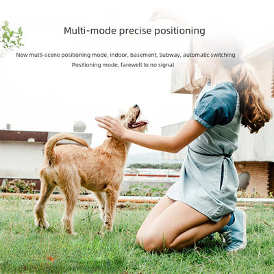 4G GPS & WiFi Pet Tracker Collar – Real-Time Location for Dogs & Cats